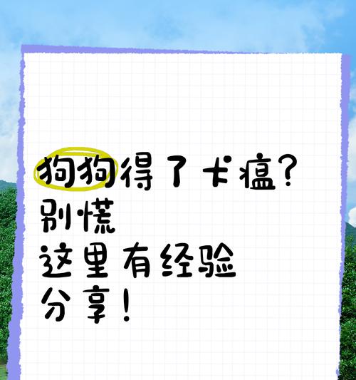 狗狗得了犬瘟热怎么办？（保护你的宠物免受犬瘟热侵害）