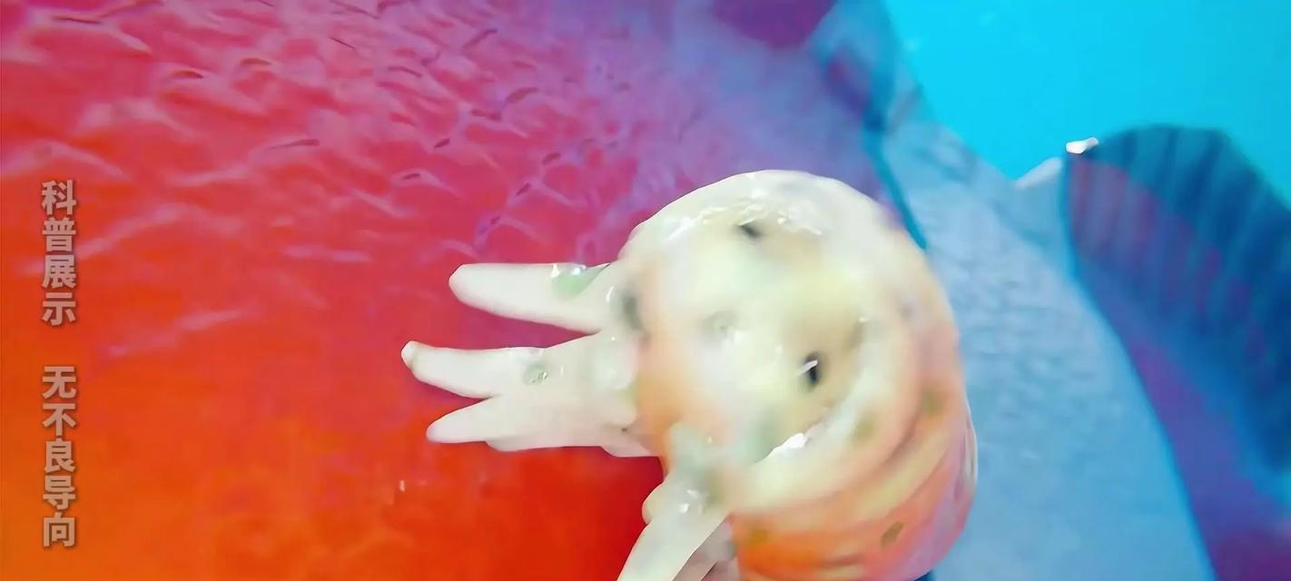 全面驱虫保护，让爱宠远离寄生虫（探秘狗狗易感染的寄生虫及市面常见驱虫药品）