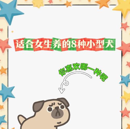 不掉毛的适合过敏星人养的狗狗（让过敏者也能享受养狗乐趣的9个品种推荐）