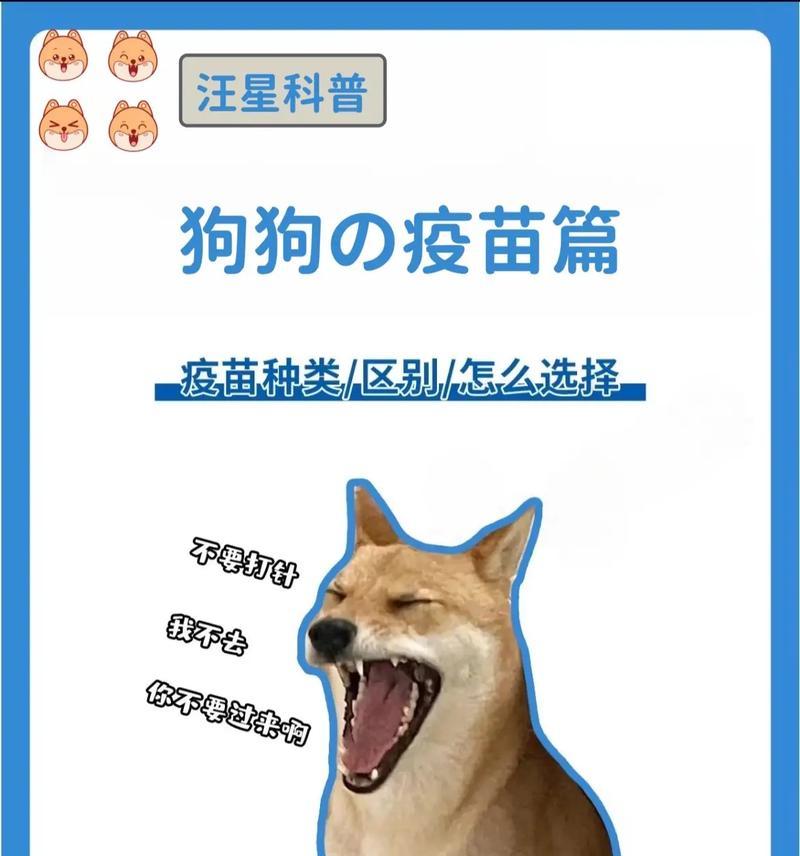 幼犬疫苗接种