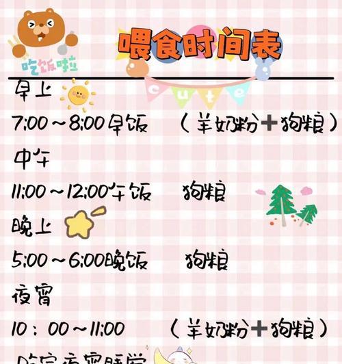 狗狗成长阶段的喂食技巧（从1个月到1岁，了解如何正确喂养你的小狗）