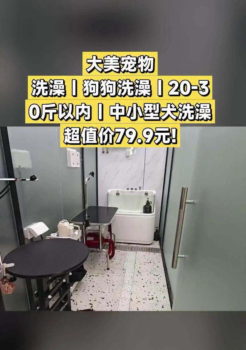 狗配种后的合适洗澡时间（狗配种后多久才能洗澡？）