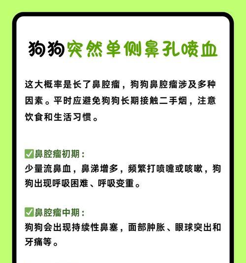 狗吃药中毒反应的时间有多久？（了解狗吃药中毒后的迅速反应，以及需要立即采取的救护措施。）