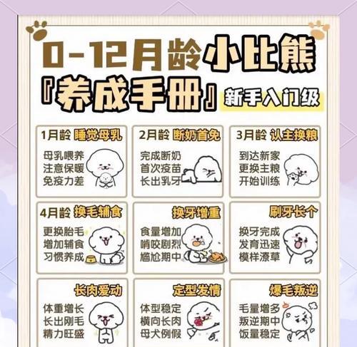 比熊犬的食量探究（了解比熊犬的饮食需求与适量）