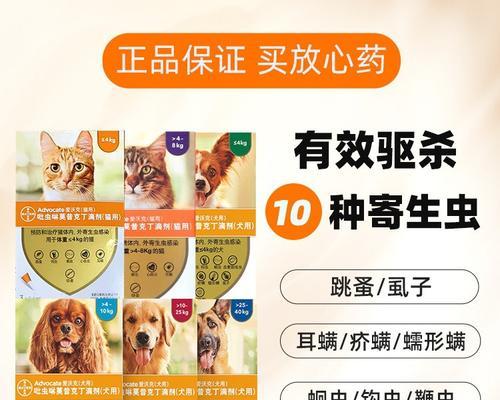 了解狗身上螨虫药的种类和作用（常见的狗身上螨虫药有哪些选择，如何正确使用）