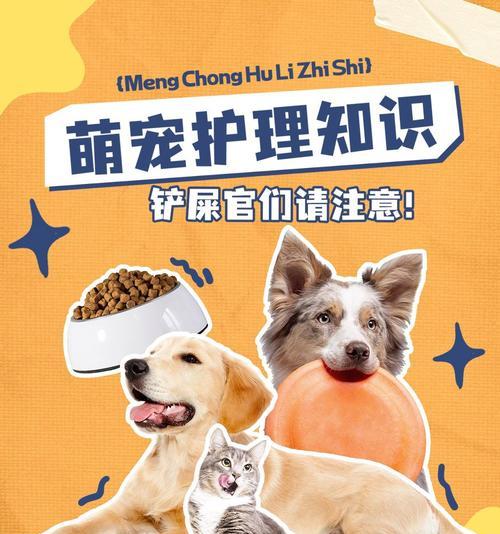 泰迪生完仔多久能驱虫？（泰迪生产后驱虫的最佳时间及注意事项）
