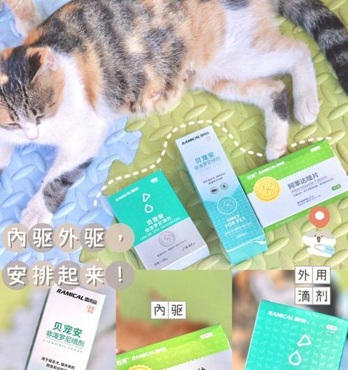 雷米高驱虫后的喂食时间及注意事项（雷米高驱虫后喂食时间表及关键注意事项）