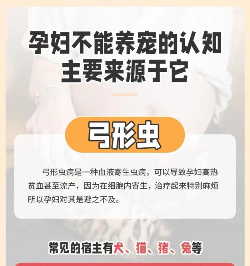 猫弓形虫病（病因、症状和预防措施一网打尽）