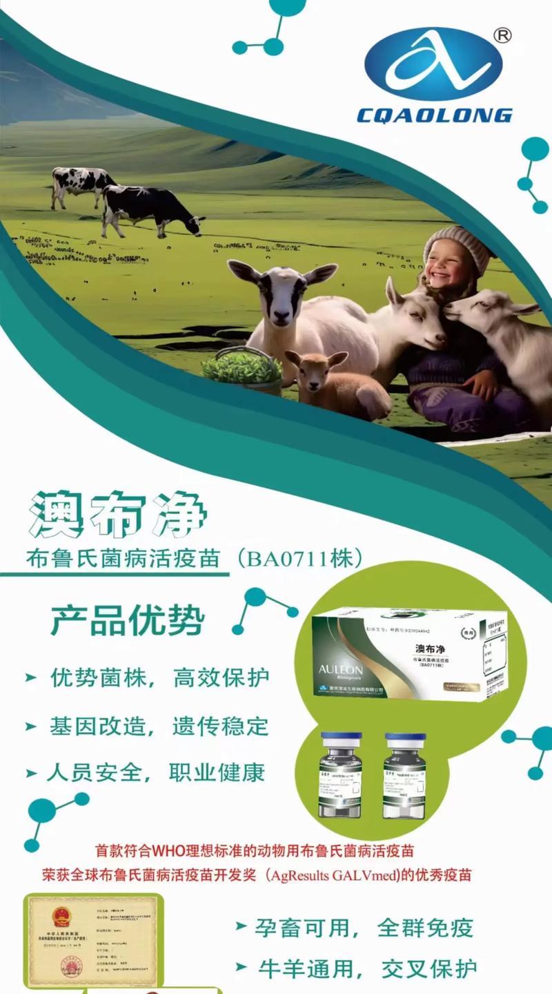 拉布拉多犬预防针（了解拉布拉多犬预防针的时间表和重要性）