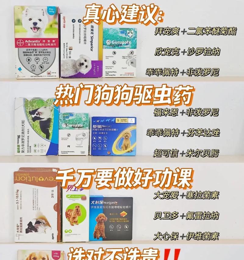 狗狗吃虫药的最佳频率是多久一次？（宠物健康保护，正确掌握狗狗去虫药的用药时间间隔）