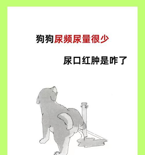 狗狗尿黄的原因及解决办法（探究狗狗尿液变黄的原因，提供解决办法，让狗狗更健康）