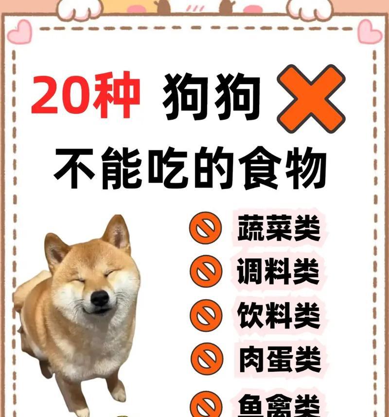 幼狗消化食物的时间要求（了解幼狗消化时间的重要性及相关因素）