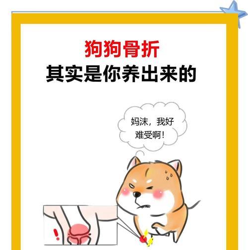 小狗手骨折康复时间及注意事项（了解小狗手骨折的治疗时间和护理要点，助力康复）