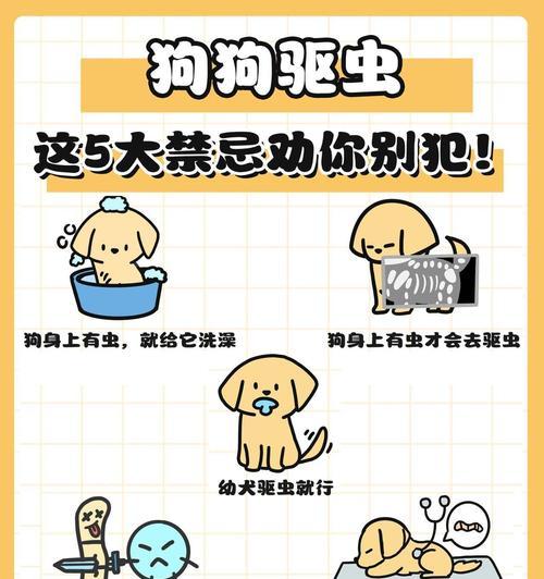 驱虫液使用指南（多久可以洗澡？洗澡的窍门）