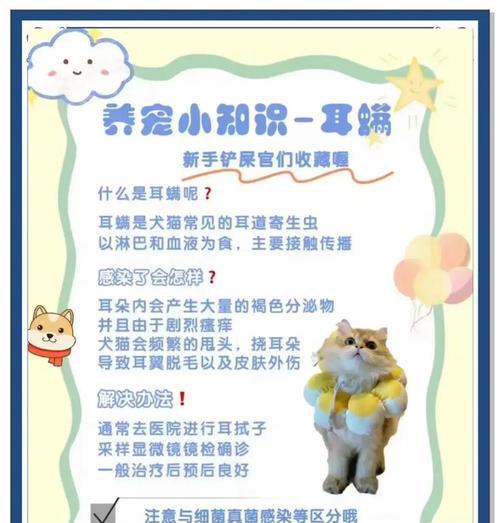 告别耳螨，给狗狗一个健康的耳朵（5个小步骤轻松解决狗狗耳螨问题）