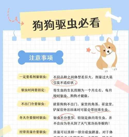 成年犬驱虫时间间隔探讨（了解成年犬驱虫周期的重要性及合理时间安排）
