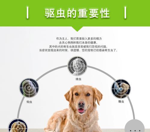 幼犬肠道驱虫需要多久才能完全清理？（幼犬肠道驱虫效果持续多长时间？）