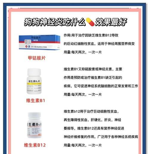 狗狗吃药后的反应时间是多久？（探究狗狗药物反应时间与剂量的关系）