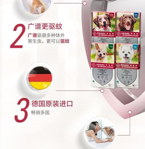 狗吃了拜耳后多久会有反应？（拜耳在狗体内的作用时间及其影响因素分析）