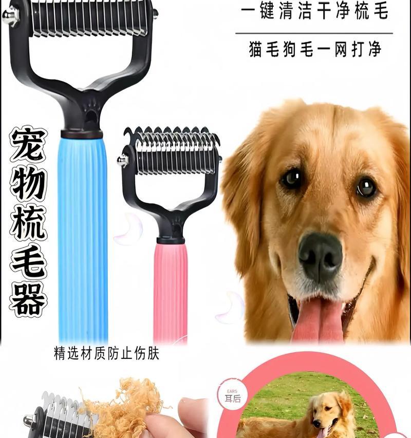 季节性换毛（进化角度解析动物的季节性换毛周期与机制）