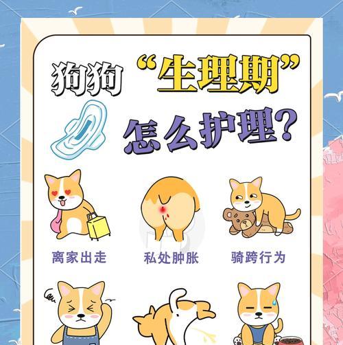 小狗的月经周期（了解小狗月经周期的重要性及周期长短的关键因素）