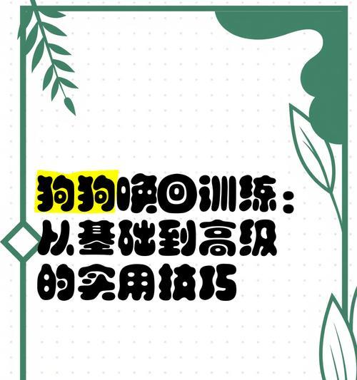 掌握有效的狗狗训练技巧（成为理想宠物主人的必备指南）
