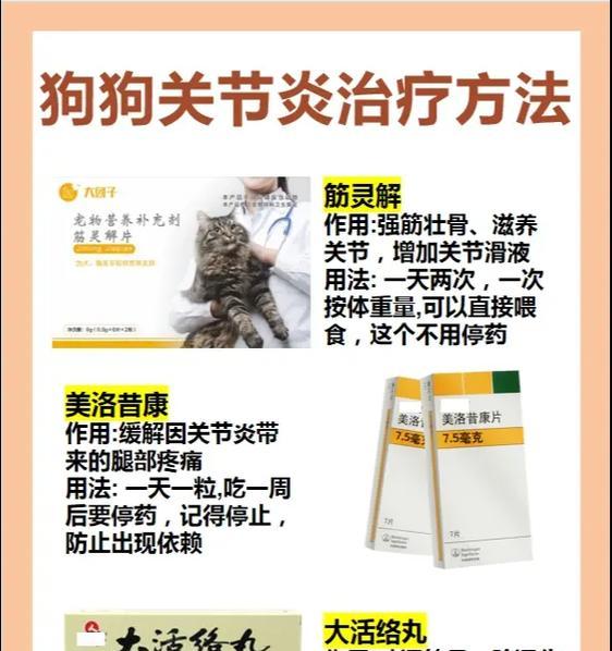 狗狗关节炎（探寻关节炎的治疗方法和时间）