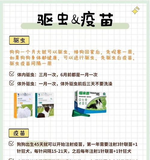 喂药给爱犬的小技巧（让狗狗吃药变得轻松愉快）
