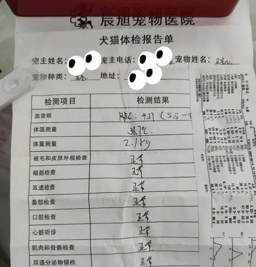 细小不治疗对狗的影响及存活期限（细小病毒肆虐，如何保护你的爱犬免受伤害）