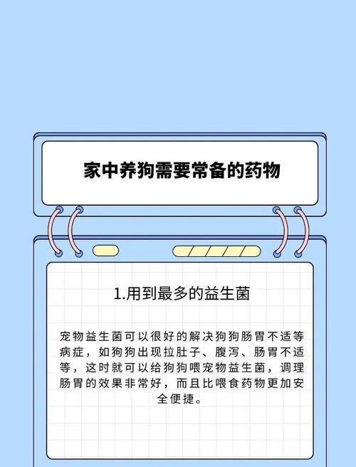 狗的杀虫药使用频率（探索以狗的杀虫药多久吃一次的最佳策略）