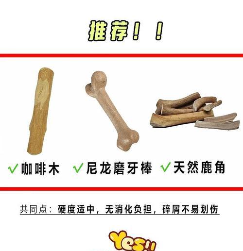 狗狗磨牙棒的使用时长探究（合理使用狗狗磨牙棒，让宠物的口腔健康无忧）