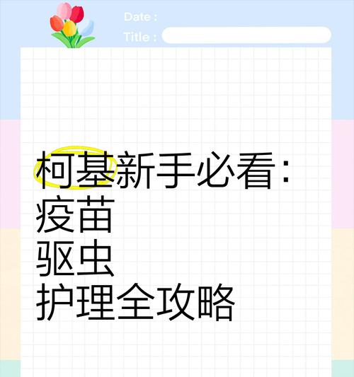 驱虫药与疫苗接种时间的关系（解析吃完驱虫药后多久可以打疫苗，科学指导你的健康）