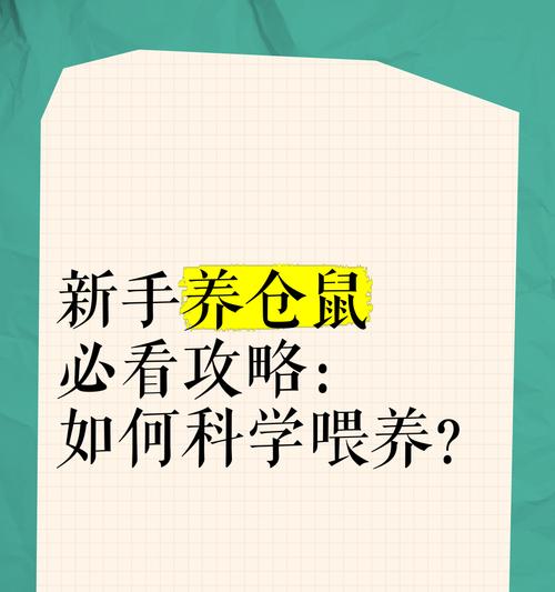 饲养仓鼠的必看事项（了解这些才能做好宠物仓鼠的主人）