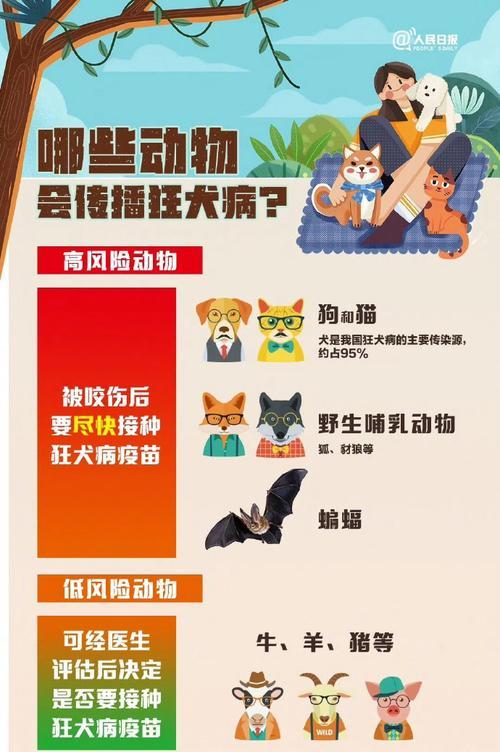 狗狗的疫苗接种计划（了解狗狗一生中需要接种的疫苗及其重要性）