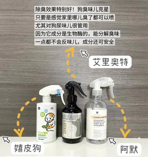 解决狗狗身上臭味的方法（了解臭味来源，为狗狗除臭找到正确方法）