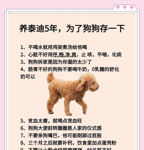 泰迪狗洗澡时间（探讨泰迪狗洗澡的最佳时间和频率）