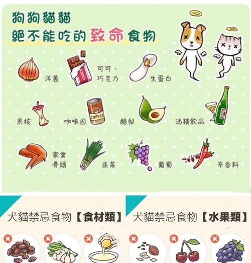 狗狗怀孕期间不能吃的食物及其原因（为保护母犬和胎儿健康，要避免以下食物）