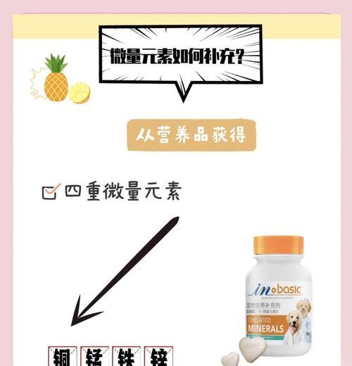 幼犬微量元素的重要性与补充方法（为您的幼犬提供全面营养保障）