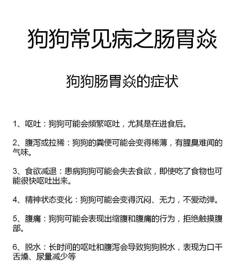 揭秘狗狗的20个冷知识，你真的了解吗？（探索狗狗世界的奇妙之处，让你惊叹不已）