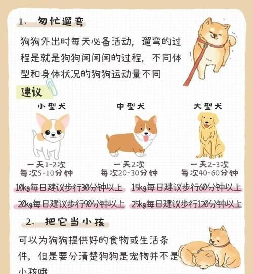 狗狗喂食的7大误区，对它们“伤害”甚大！（小心！狗狗喂食可不能随便，关键是“细数”）