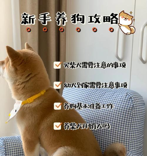 养狗十分，你能拿几分？（探讨养狗所需的责任感及评分标准）