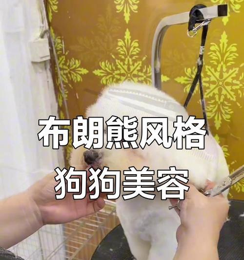 狗狗造型的持久之道（以狗狗做一次造型能维持多久？探寻长久效果的秘密）