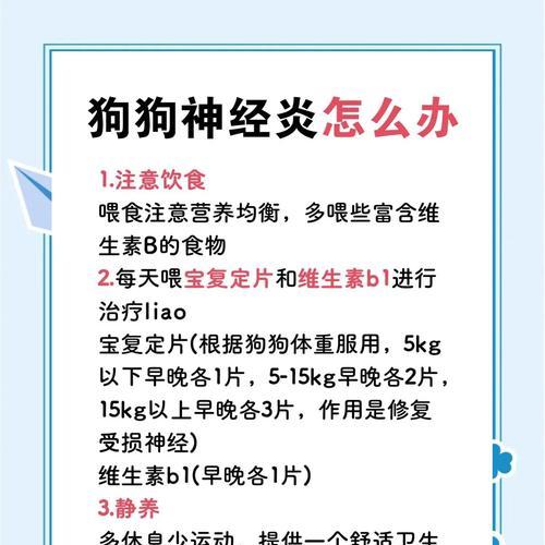 狗狗神经受损的康复时间到底需要多久？（揭秘狗狗神经受损恢复的关键因素及康复策略）
