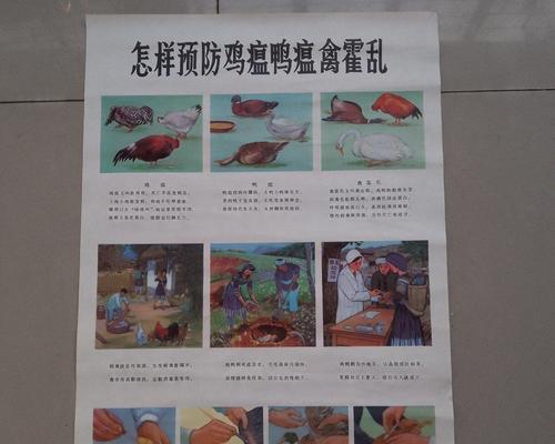 牛焦虫病（牛焦虫病的危害及预防措施）