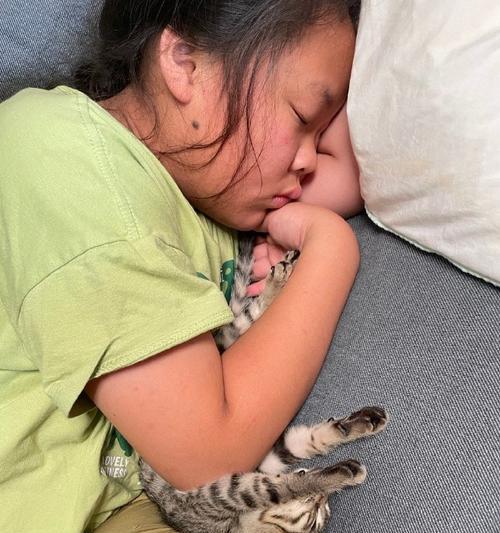 猫咪成长周期揭秘——家猫多久能长大？（探究家猫成长的关键因素和时间节点）