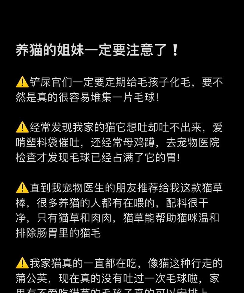 帮助猫咪顺利排出体内毛球的有效方法（五个简单方法，让你的猫咪远离毛球困扰）