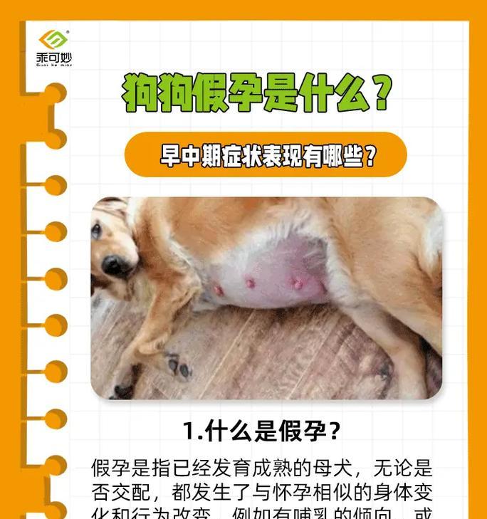 狗狗怀孕期间的症状及其意义（了解狗狗即将生产的迹象以及需要注意的事项）