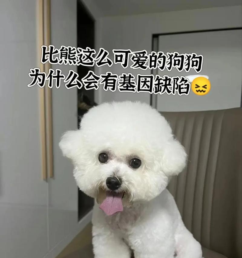 狗狗世界的品种大全（探索狗狗的丰富多样性与特点）