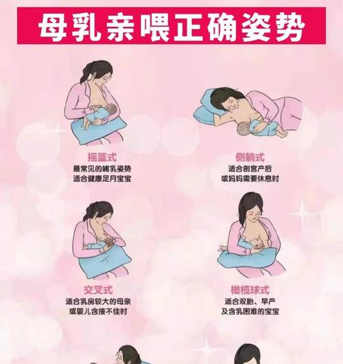 宠物养成（妈咪爱怎么给狗狗吃，教你正确的饲养方法）