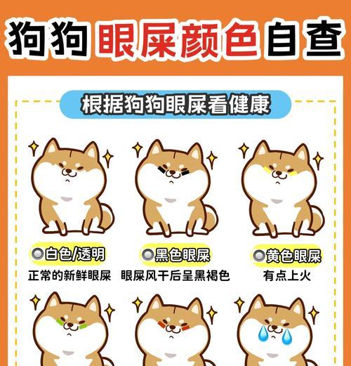 如何应对比熊患上狗瘟的情况（关注比熊狗瘟防治，宠物健康有保障）